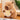 Knuffel Capibara β Schattig Knuffeldier 0