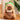 Knuffel Capibara β Schattig Knuffeldier 8