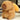 Knuffel Croissant Capybara – Schattig Knuffeldier 0