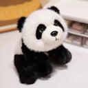 Knuffel Panda – Zacht Knuffeldier 0